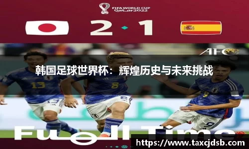 韩国足球世界杯：辉煌历史与未来挑战